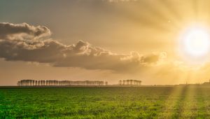 Preview wallpaper field, grass, trees, clouds, nature