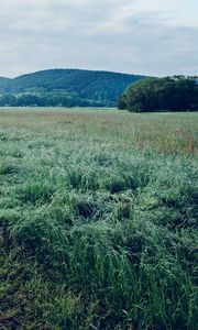 Preview wallpaper field, grass, trees, mountains