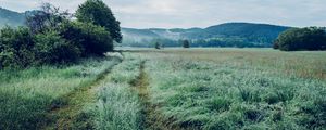 Preview wallpaper field, grass, trees, mountains