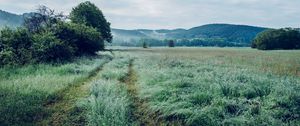 Preview wallpaper field, grass, trees, mountains
