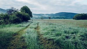 Preview wallpaper field, grass, trees, mountains