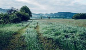 Preview wallpaper field, grass, trees, mountains