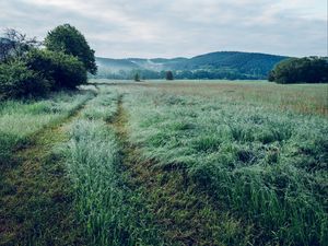 Preview wallpaper field, grass, trees, mountains