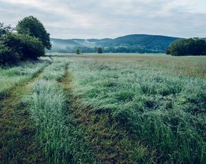 Preview wallpaper field, grass, trees, mountains