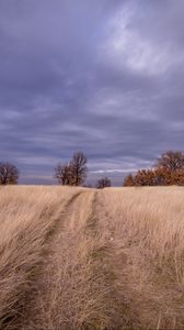 Preview wallpaper field, grass, trees, sky, clouds