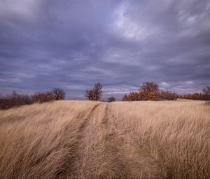 Preview wallpaper field, grass, trees, sky, clouds