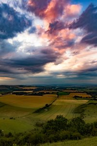 Preview wallpaper field, grass, trees, clouds, sky