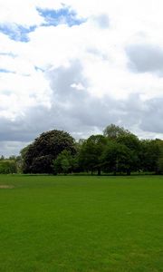 Preview wallpaper field, grass, trees, summer landscape