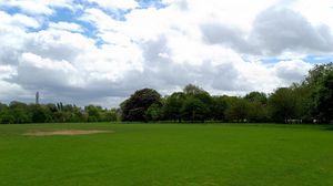 Preview wallpaper field, grass, trees, summer landscape