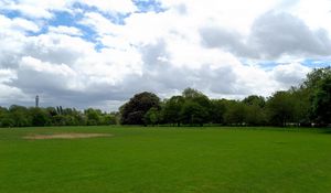 Preview wallpaper field, grass, trees, summer landscape