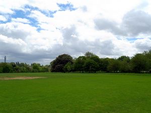 Preview wallpaper field, grass, trees, summer landscape