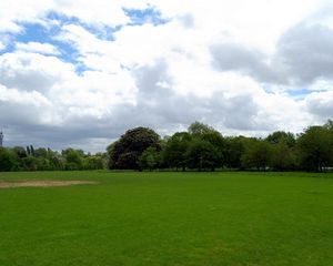 Preview wallpaper field, grass, trees, summer landscape