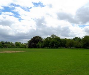 Preview wallpaper field, grass, trees, summer landscape