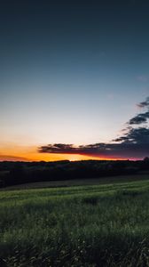 Preview wallpaper field, grass, twilight, landscape