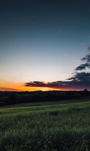 Preview wallpaper field, grass, twilight, landscape