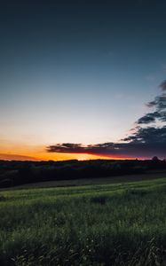 Preview wallpaper field, grass, twilight, landscape