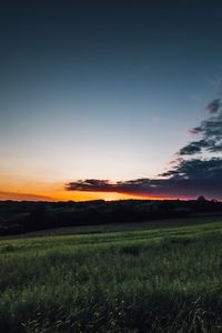 Preview wallpaper field, grass, twilight, landscape