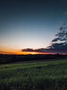 Preview wallpaper field, grass, twilight, landscape