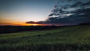 Preview wallpaper field, grass, twilight, landscape