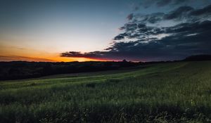 Preview wallpaper field, grass, twilight, landscape