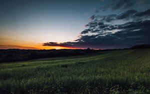 Preview wallpaper field, grass, twilight, landscape