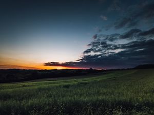 Preview wallpaper field, grass, twilight, landscape