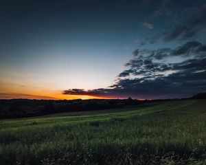 Preview wallpaper field, grass, twilight, landscape