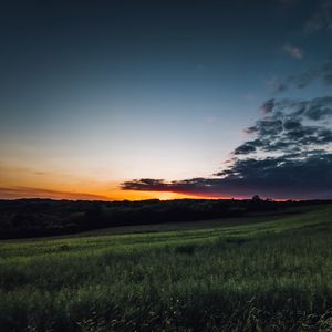 Preview wallpaper field, grass, twilight, landscape