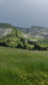Preview wallpaper field, grass, valley, mountains