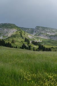 Preview wallpaper field, grass, valley, mountains