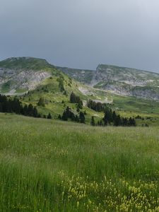 Preview wallpaper field, grass, valley, mountains