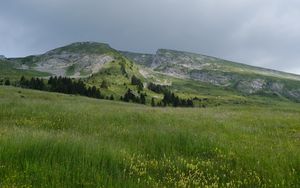 Preview wallpaper field, grass, valley, mountains