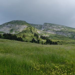 Preview wallpaper field, grass, valley, mountains