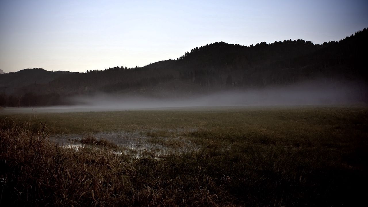 Wallpaper field, gray, bog, fog
