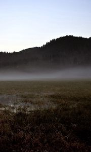 Preview wallpaper field, gray, bog, fog