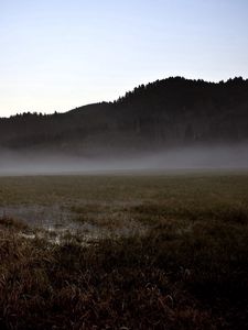 Preview wallpaper field, gray, bog, fog