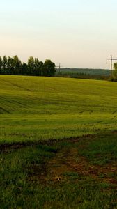 Preview wallpaper field, green, cloudy, agriculture