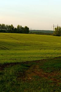 Preview wallpaper field, green, cloudy, agriculture