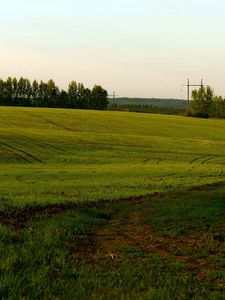 Preview wallpaper field, green, cloudy, agriculture