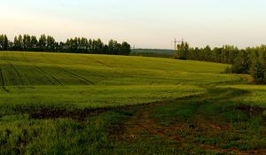 Preview wallpaper field, green, cloudy, agriculture