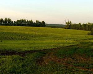 Preview wallpaper field, green, cloudy, agriculture