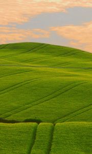 Preview wallpaper field, green, hills, traces, lines, pattern