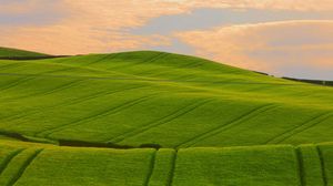 Preview wallpaper field, green, hills, traces, lines, pattern
