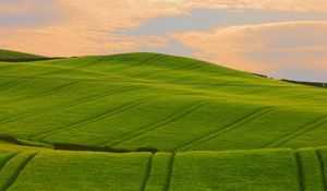 Preview wallpaper field, green, hills, traces, lines, pattern