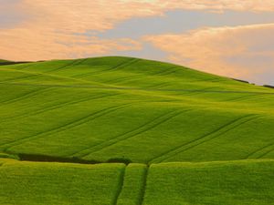 Preview wallpaper field, green, hills, traces, lines, pattern