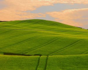 Preview wallpaper field, green, hills, traces, lines, pattern