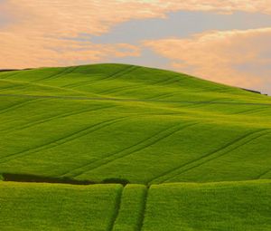 Preview wallpaper field, green, hills, traces, lines, pattern