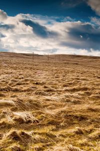 Preview wallpaper field, hay, agriculture, columns, wires