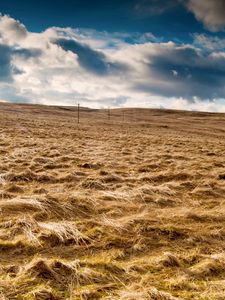 Preview wallpaper field, hay, agriculture, columns, wires