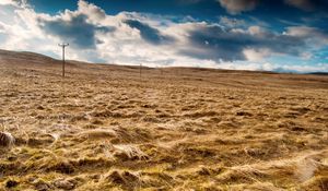 Preview wallpaper field, hay, agriculture, columns, wires